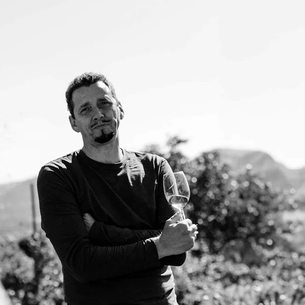 Porträt HM Lang – Weingut aus Krems